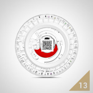 Rotor Seamaty Comprehensive Diagnostic (Veterinaria)