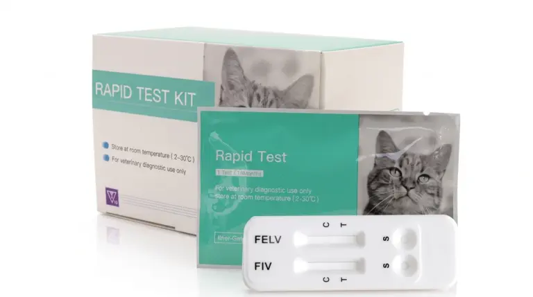 Test retrovirales para gatos FIV Ab y FeLV Ag